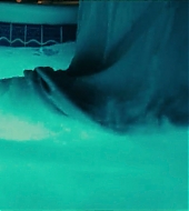 003486.jpg