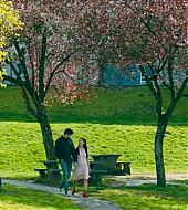 Filename=1316.jpg
Filesize=686KiB
Dimensions=3072x1284
Date added=Feb 12, 2020 1316.jpg